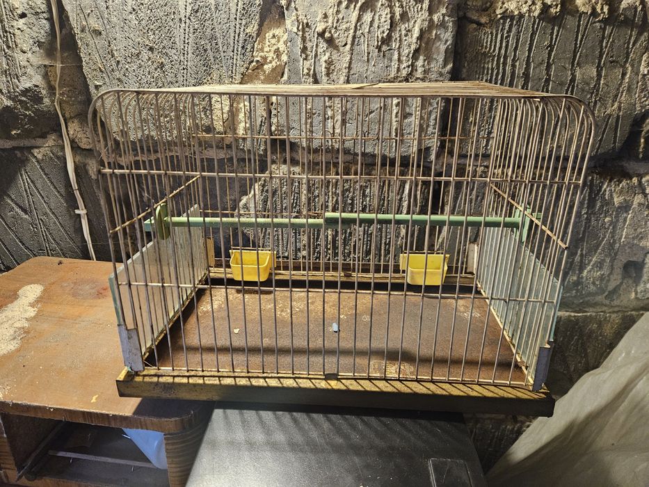 Klatka dla kanarka, ptaków