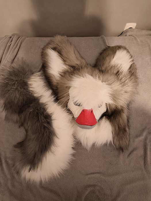 Dino mask furry fursuit