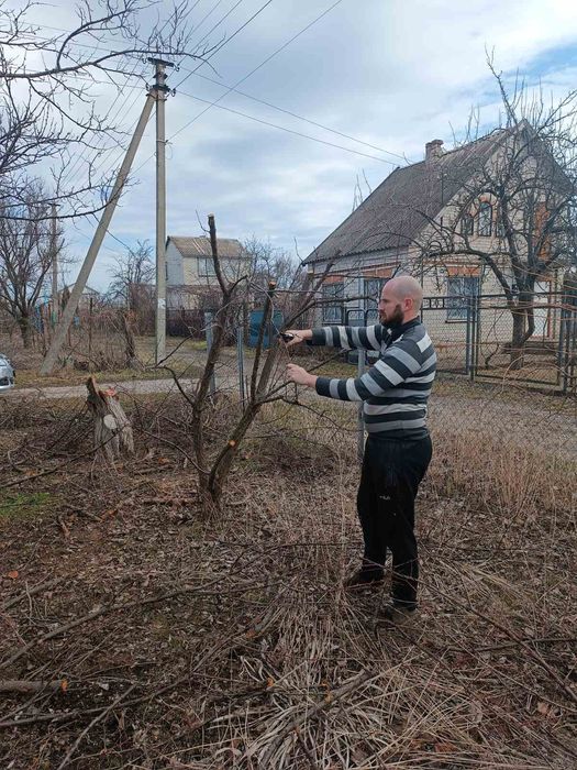 Покос травы, уборка территории, спил деревьев,работаем с ОСББ.