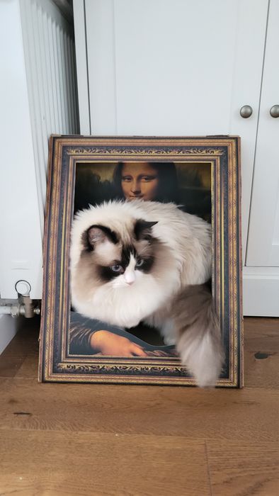 Drapak legowisko dla kota Mona Lisa