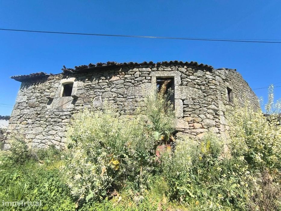 Casa antiga, em pedra de granito, com terreno, poço e árvores de fruto