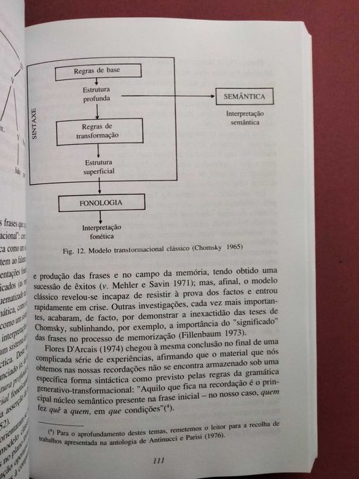 A Comunicação como Processo Social - Pio Ricci Bitti