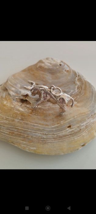 Medalha em prata 925