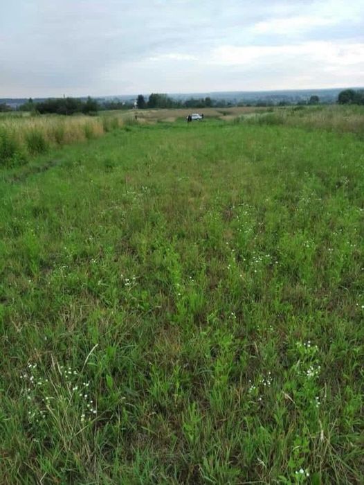 Продам землю у смт Шкло