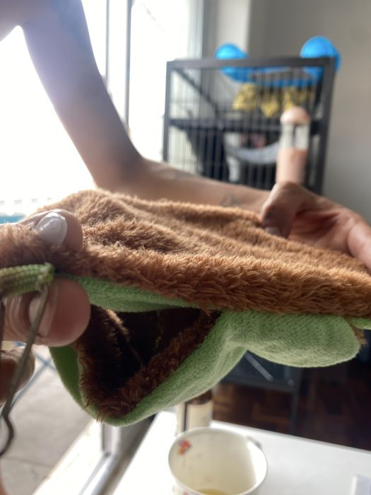 Cama pendurada para roedores