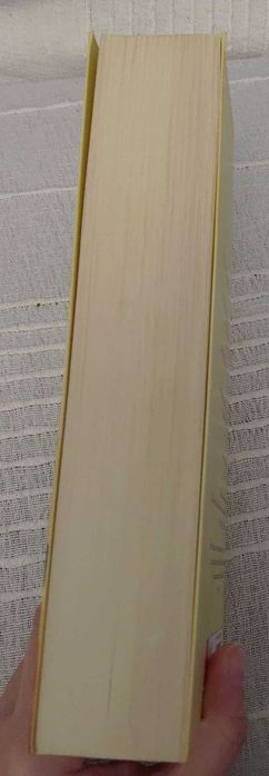 Os Detetives Selvagens - Roberto Bolaño