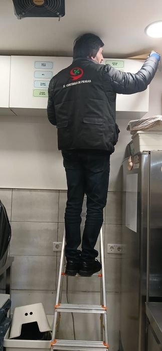 Desinfestações  24h