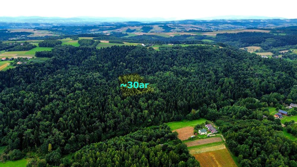 Siedlisko z domem i lasem, 3,10ha, Szerzyny, powiat tarnowski