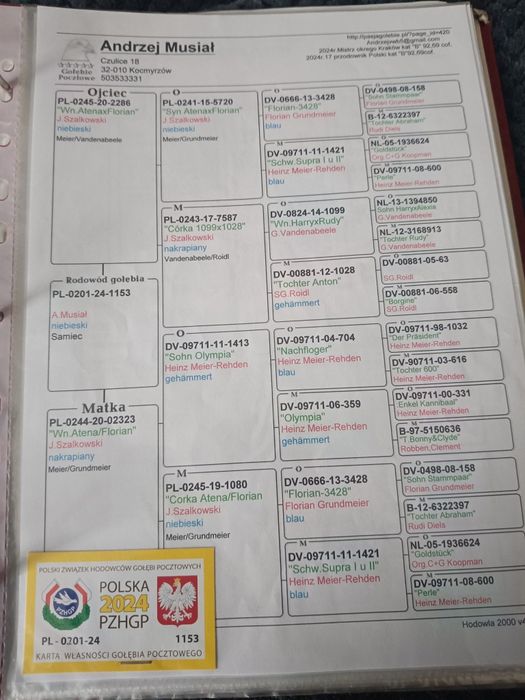 Redukcja rozpłodu