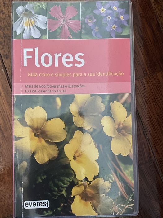 Flores - guia claro e simples para a sua identificação