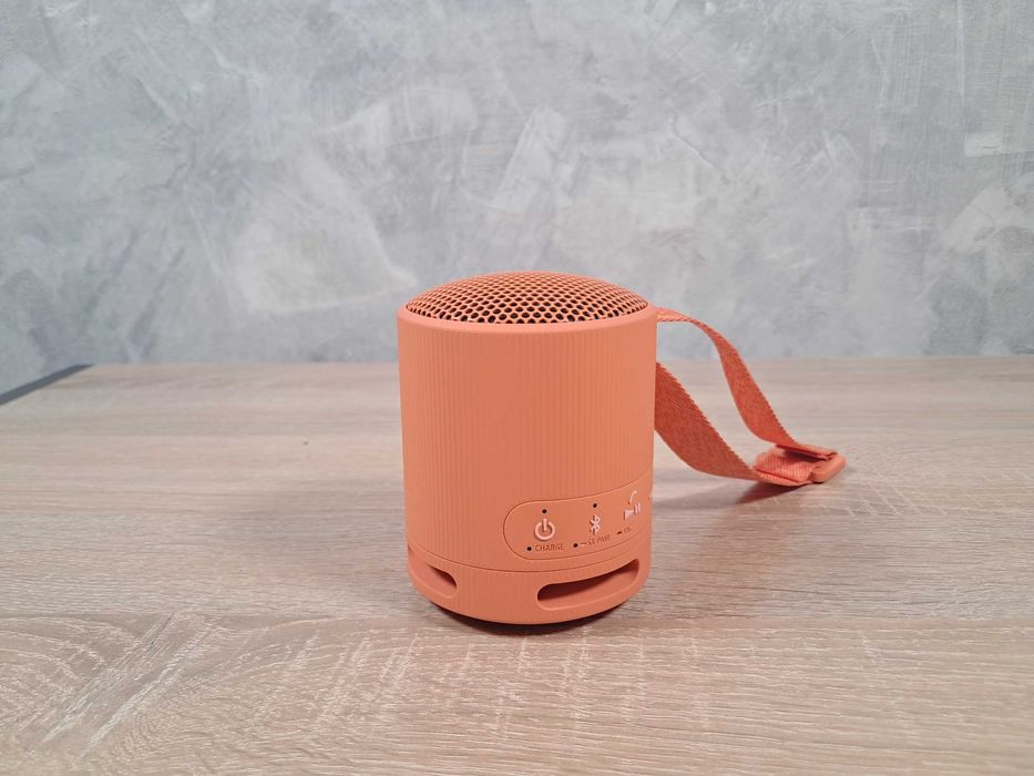 Блютуз колонка Sony SRS-XB100