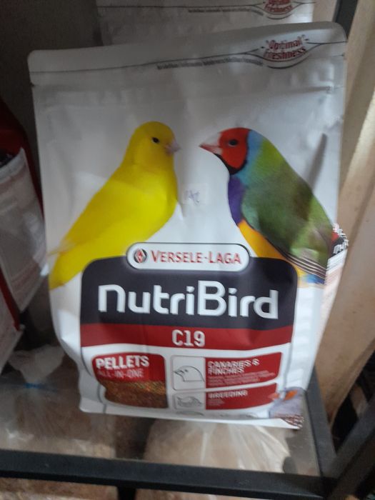 C19 de 3 kg criação  13 euros