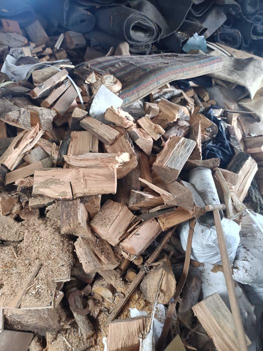 Sprzedam Drzewo Sosna, Świerk, Brzoza, Dąb opałowe