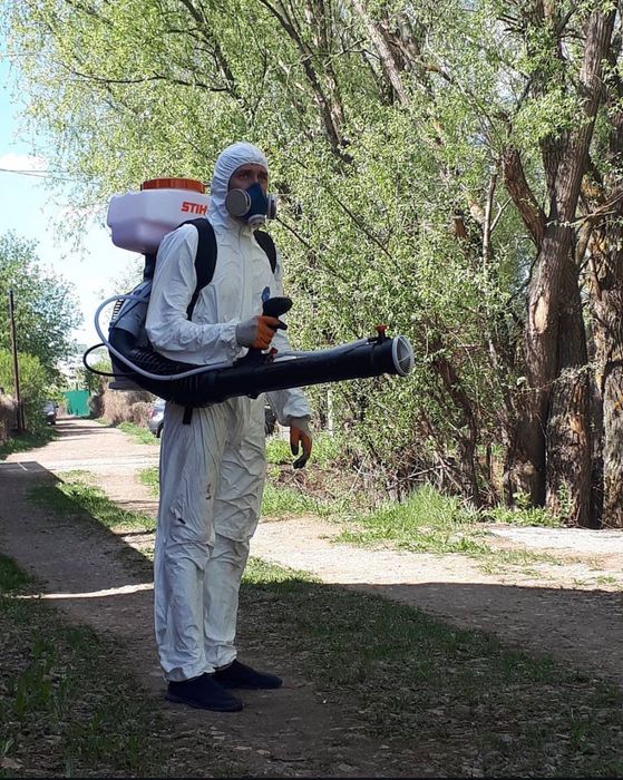 Травля  тараканов клопов , клещей  уничтожение блох ос шершней  Знищення тарганів клопів бліх плісняви цвілі Дезинфекция тараканов