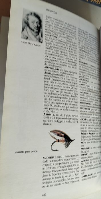 Livro enciclopédia larousse