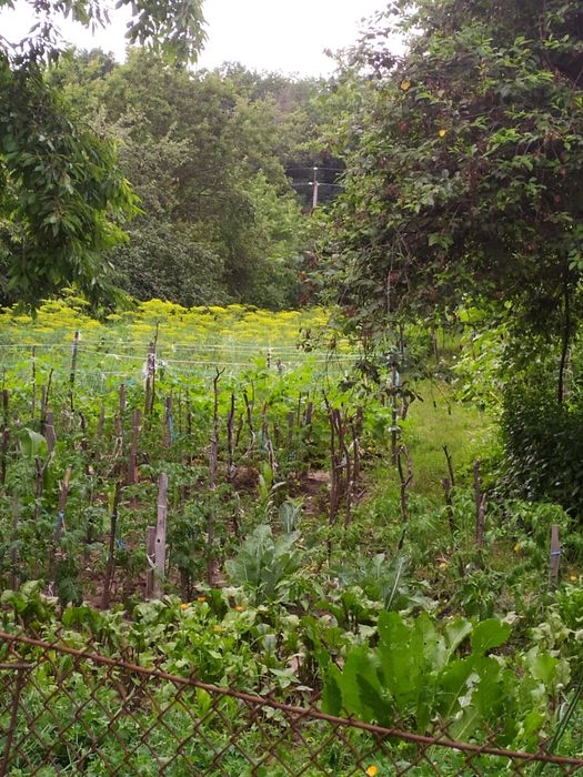 Продам уютный дом!!!