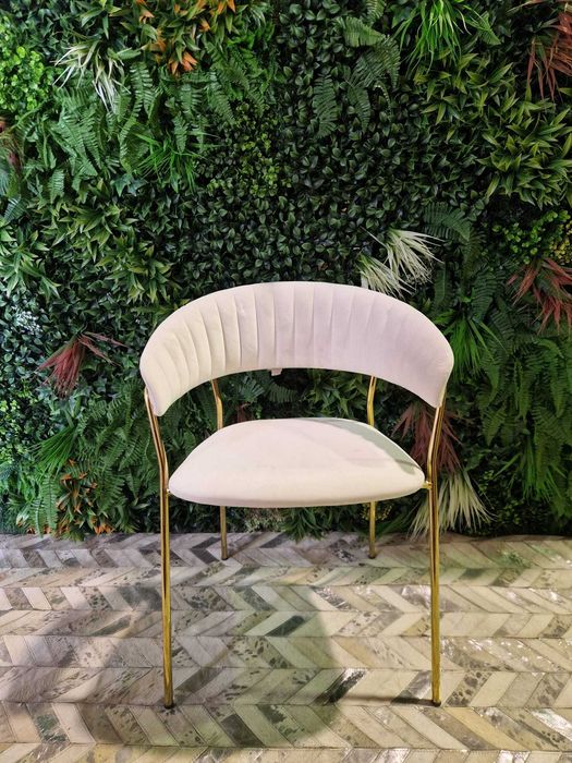 Conjunto Cadeiras com Apoio de Braço