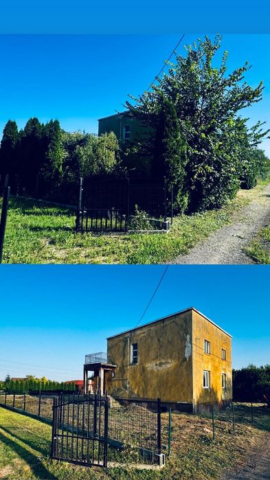 Od trawnika po drzewa – zadbamy o każdy szczegół Twojego ogrodu