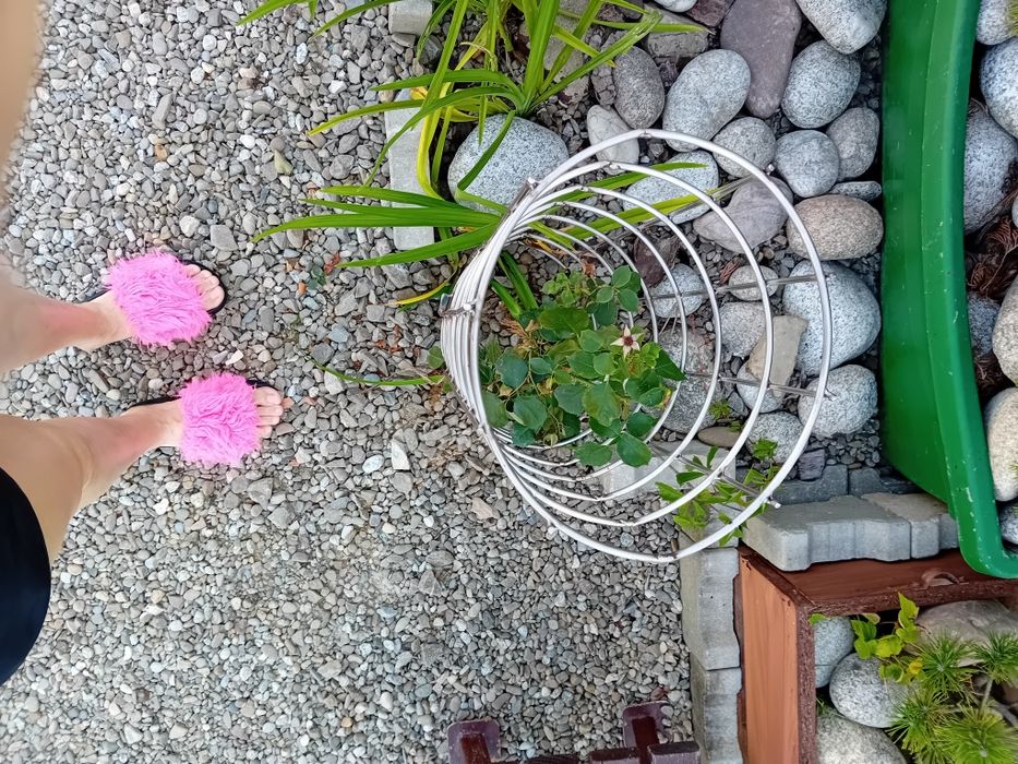 Drabinka nierdzewna na kwiaty do ogrodu