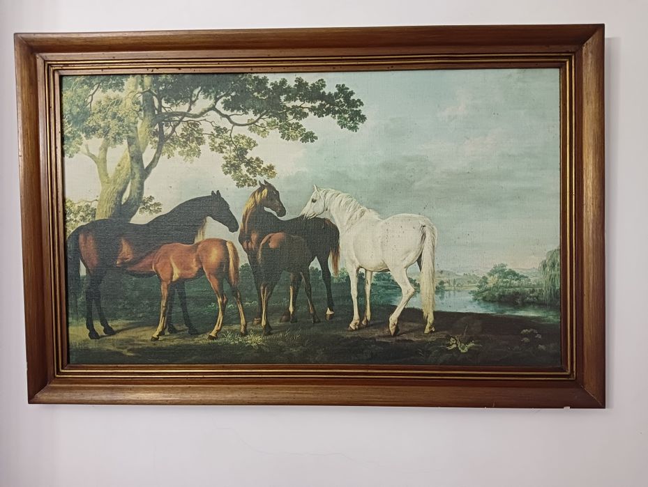 Quadro cavalos vintage