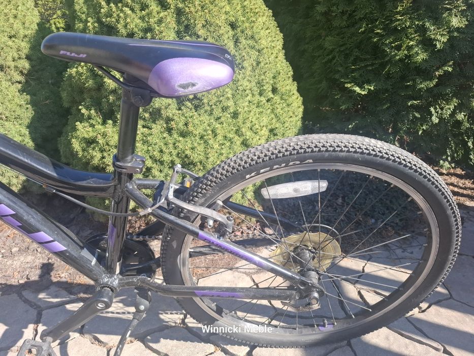 Rower  FUJI Dynamite 24"