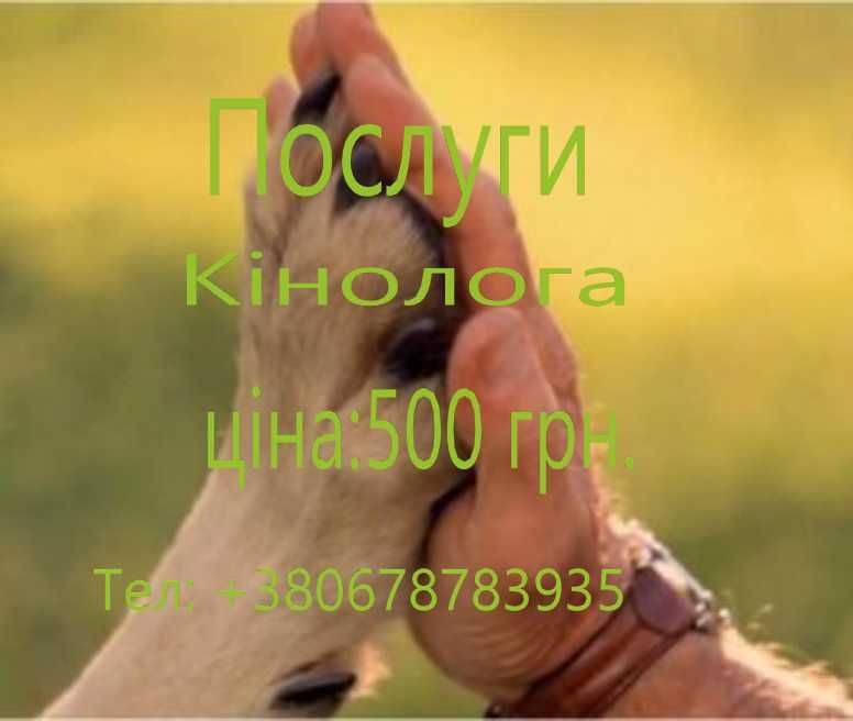 В'язка собак ДОПОМОГА