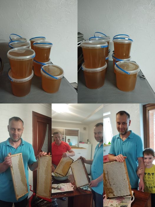 Продам мед оптом