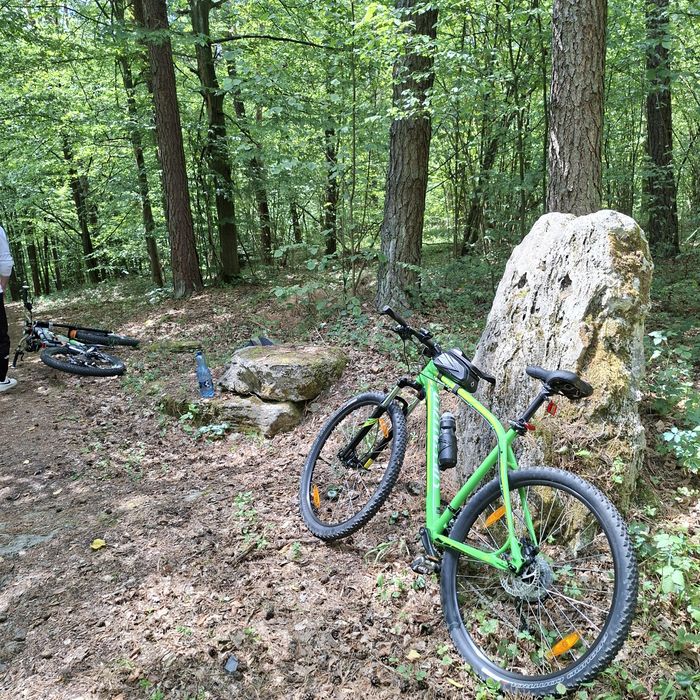 Rower mtb Specialized