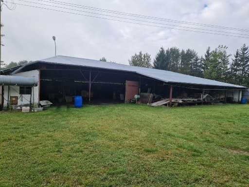 Osada Drzewce 2 siedlisko