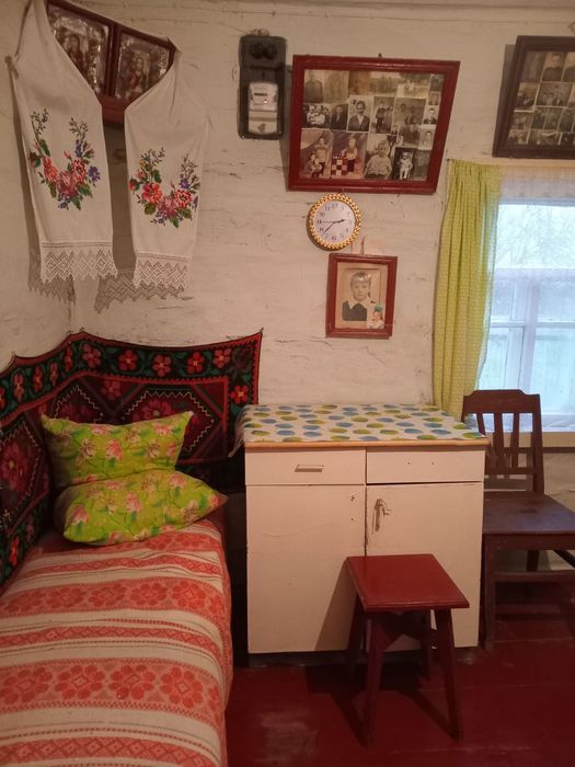 Продаж будинку у селі Друцьке