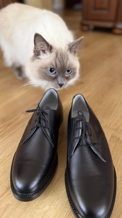 Półbuty skórzane wojskowe