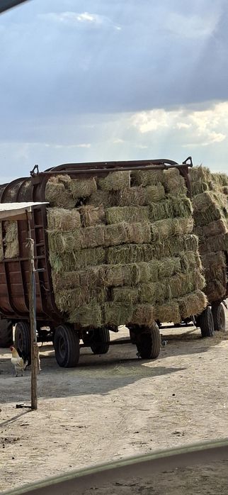Продам Сено луговое разнотравие