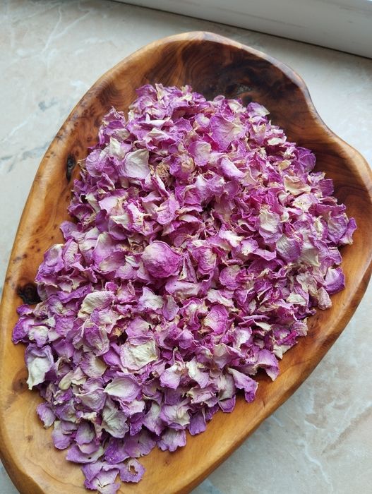 Листья чайной розы
