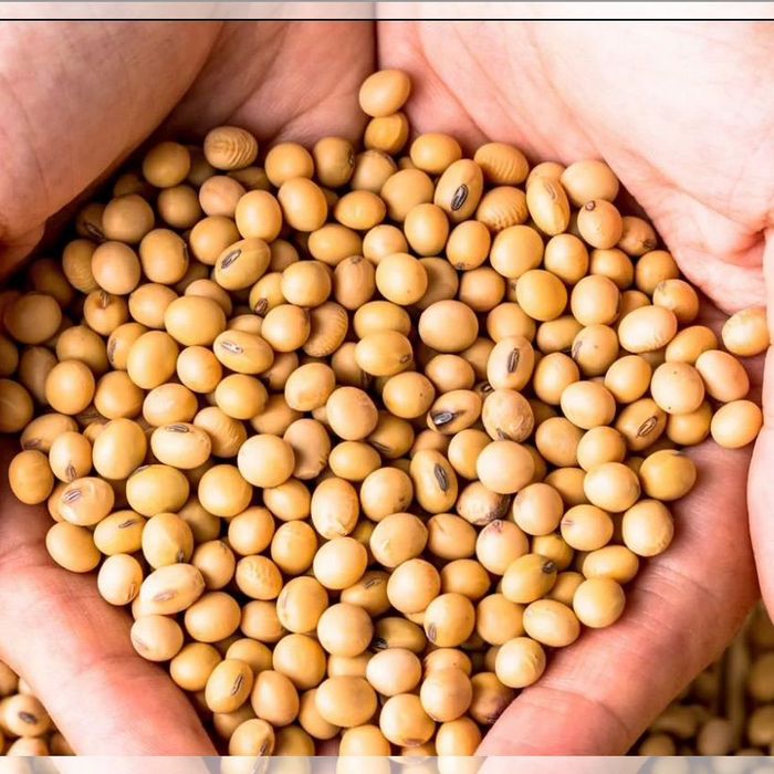 Забираємо різну Сою з місця по ф2/ф3