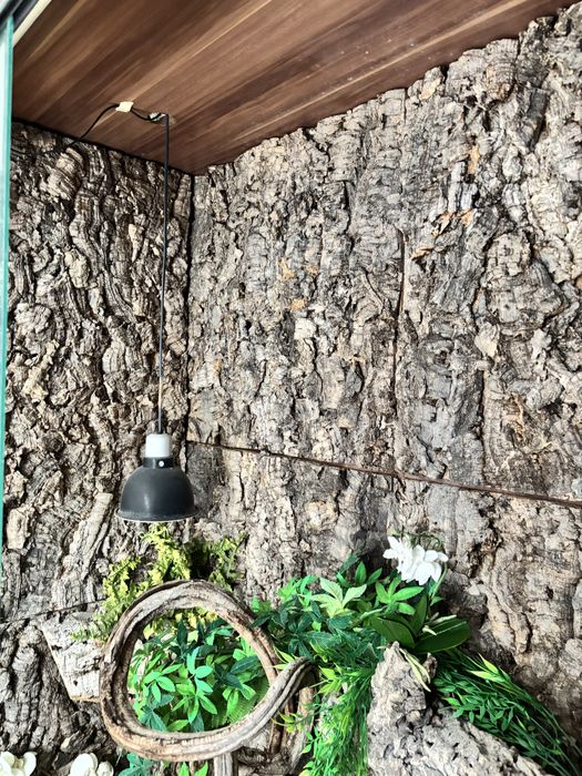 Terrarium 120 agama legwan kameleon bazyliszek