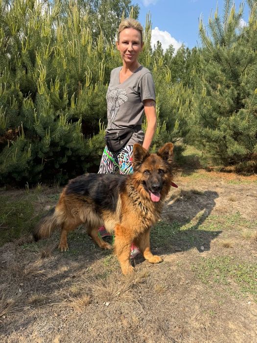 Axel cudo do adopcji