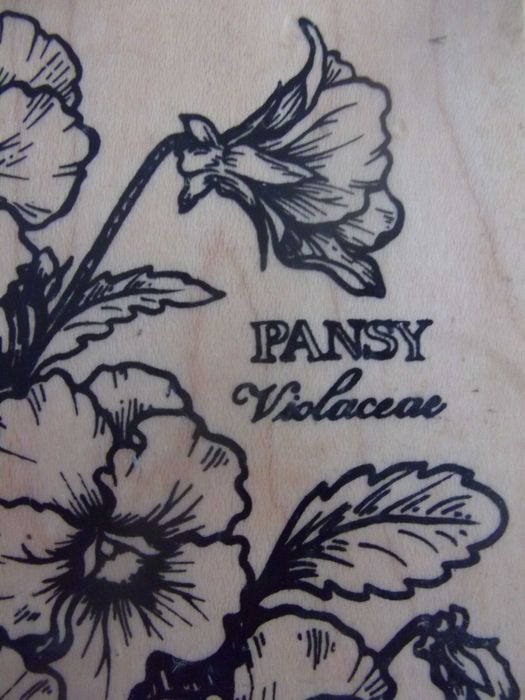 Carimbo em madeira Flor / Wooden stamp Flower - "Pansy Violaceae"