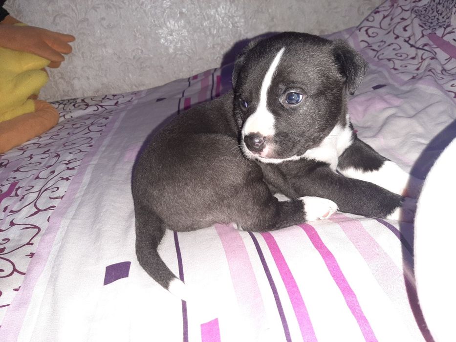 Только в хорошие руки