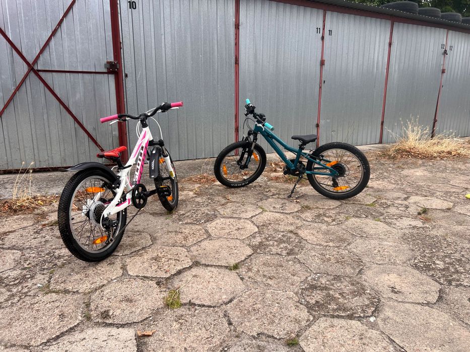 Scott contessa 20