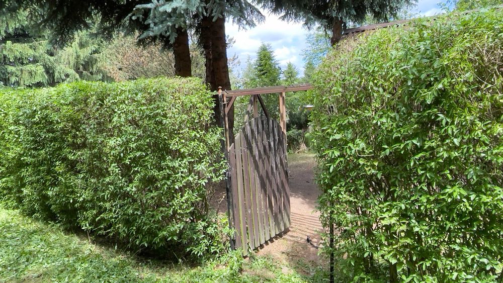 Działka ROD Wieniawskiego 297 m² w Rzeszowie | Klimatyczna, zaciszna, z domkiem i wodą - Widok 4