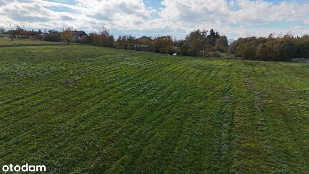 Widokowa działka w Sołonce z WARUNKAMI ZABUDOWY - 19 ar
