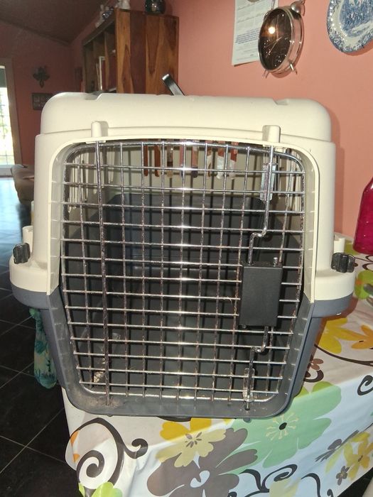 Caixa de transporte de cães