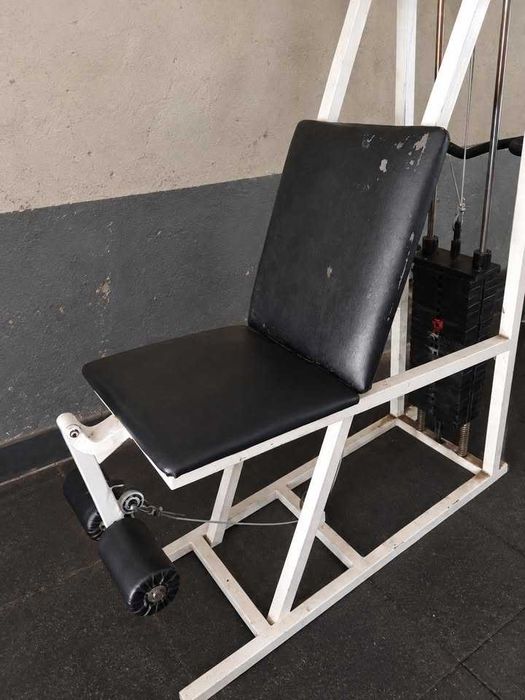 Cadeira Extensora Old School 105kg