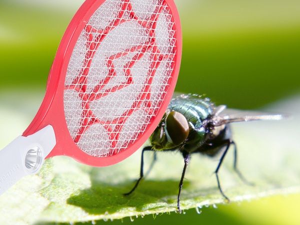 Elektryczna paletka do łapania much łapka packa na muchy komary ćmy