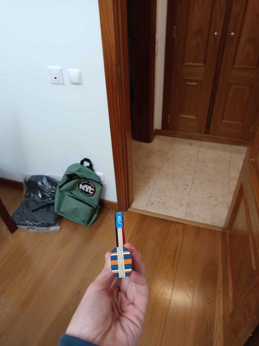 raquete profissional nova de tenis de mesa