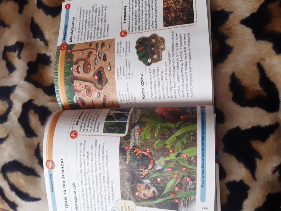 Сучасна Дитяча єнциклопедія