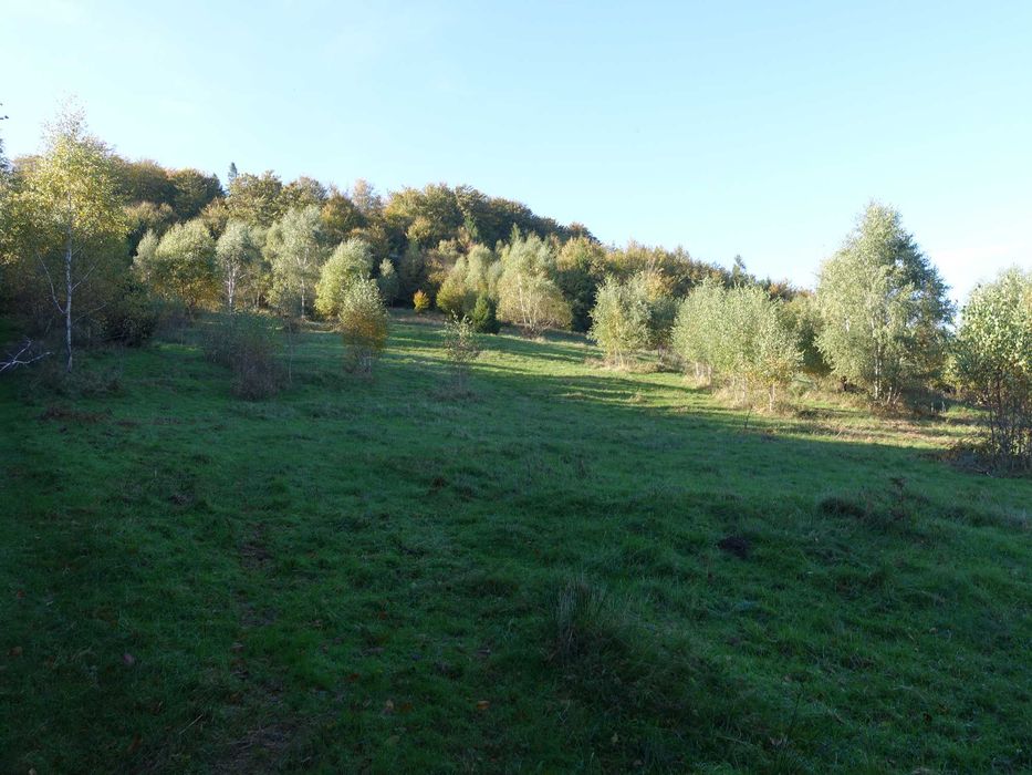 Brenna 2,53 ha inwestycyjna piękna panorama gór pod zabudowe