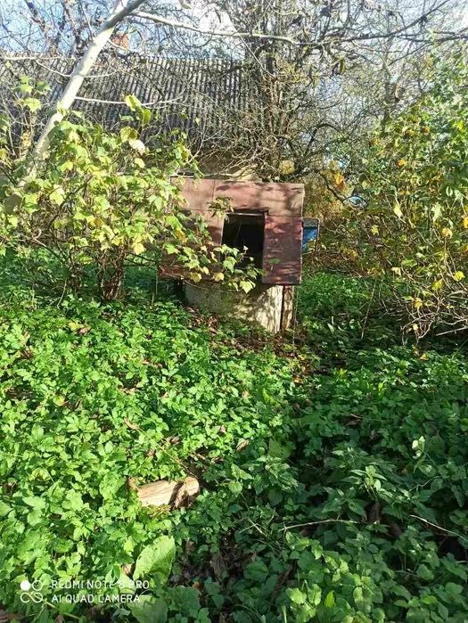 Будинок з ділянкою в с. Бучали