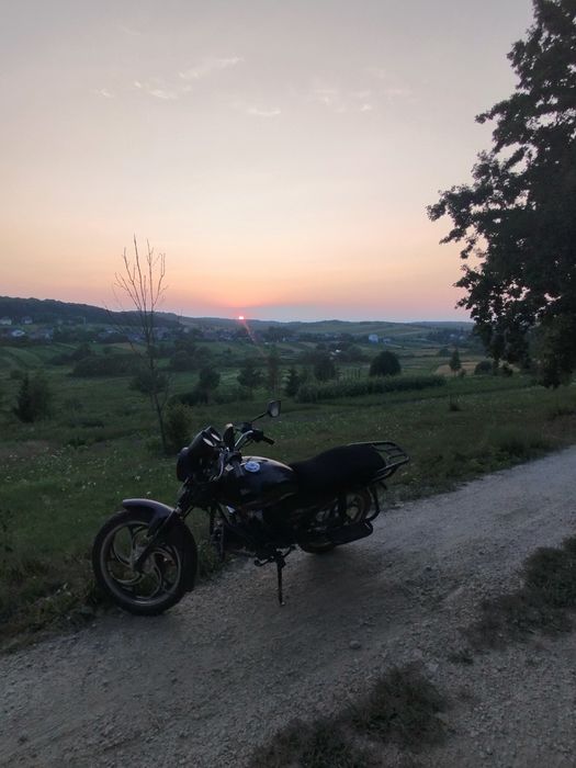 Альфа мустанг 125