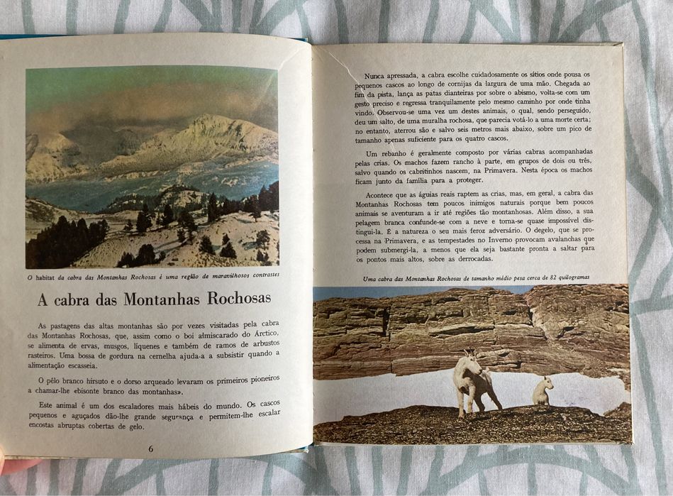 Livro Animais do Far-West (Vintage, Anos 60)